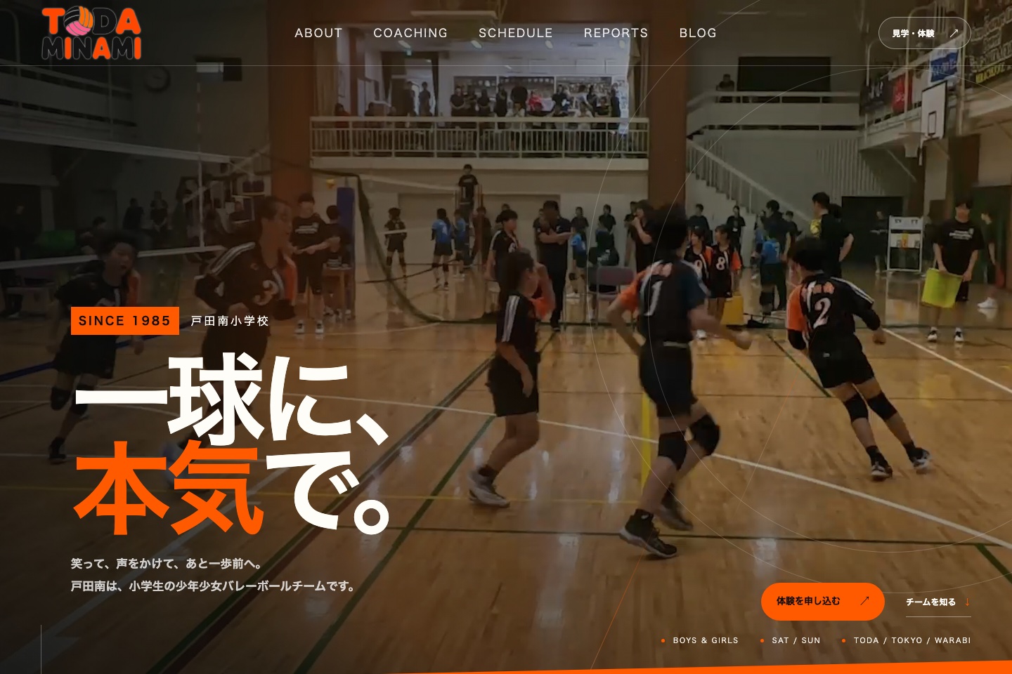 戸田南バレーボールスポーツ少年団公式サイトのトップページ